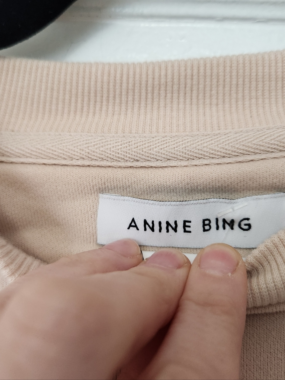 Anine Bing Beige Graphic Tiger Sweatshirt - Picture 4 of 9